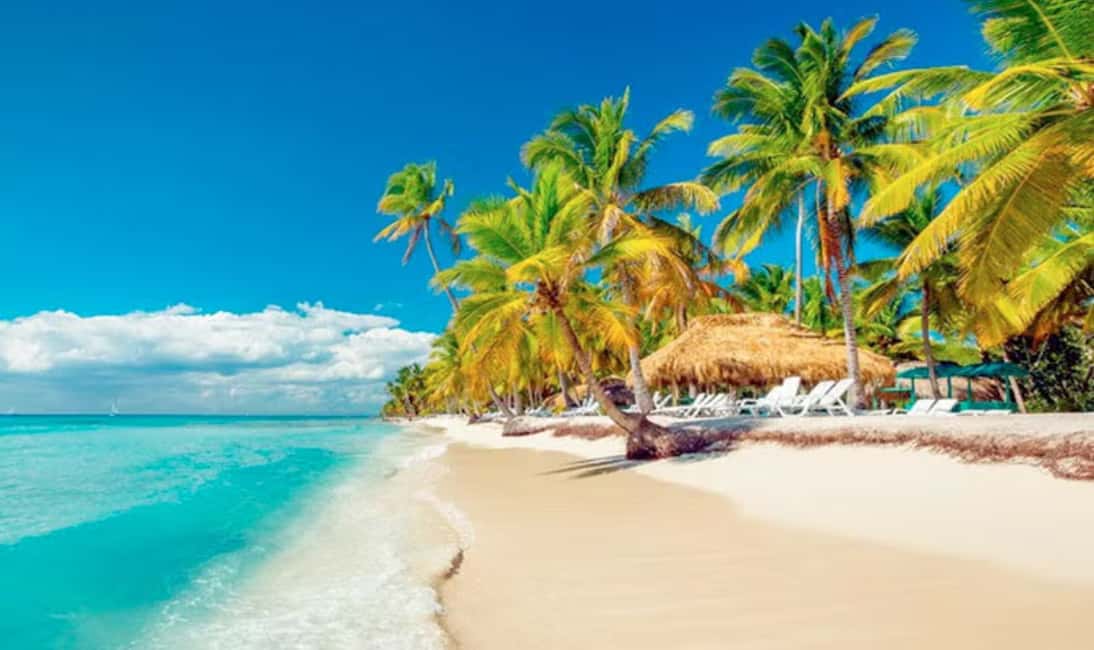 Punta Cana: Saona Island Tour with Lunch and Drinks - Sea star sanctuary moment: a colorful wildlife payoff