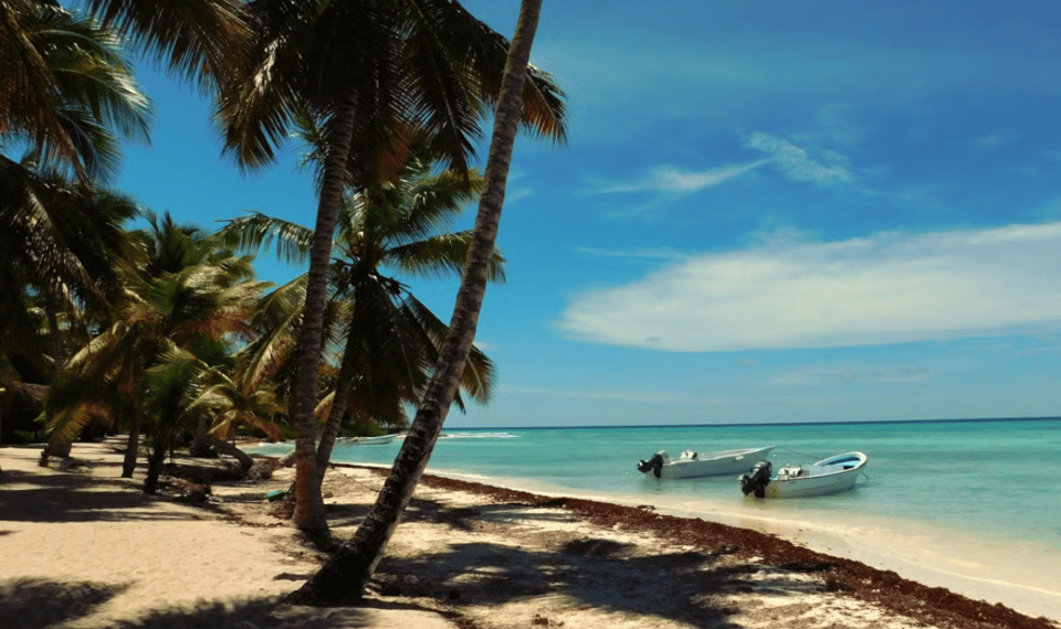 Punta Cana: Saona Island Tour with Lunch and Drinks - Lunch at Palmera Turística beach: filling, not fancy