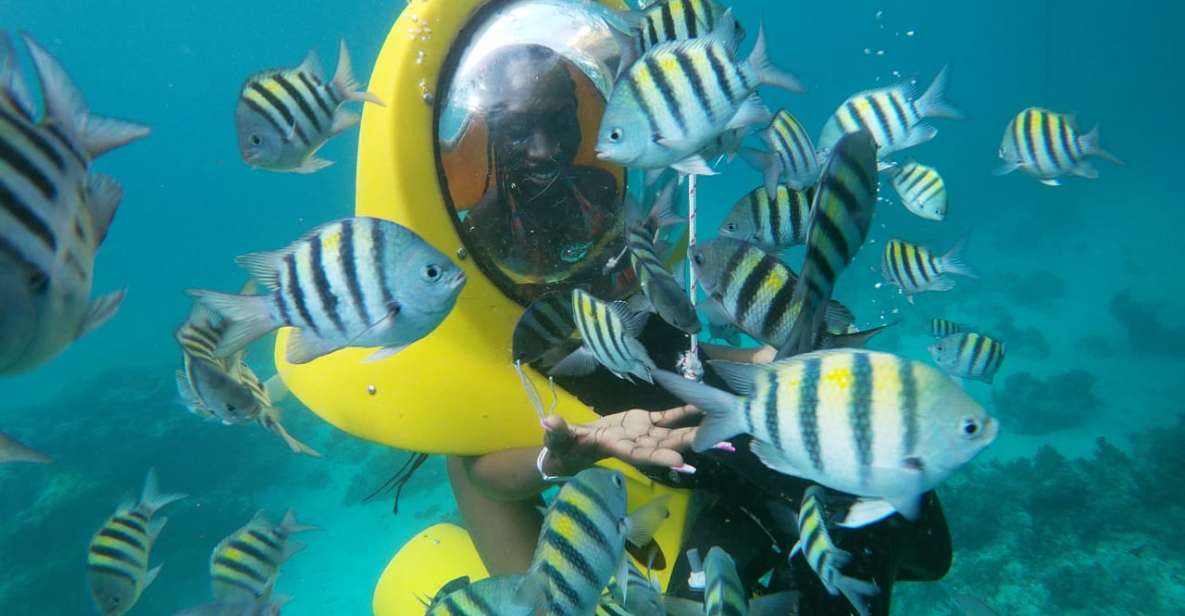Punta Cana: Scubadoo Ocean Exploration Diving Adventure - Safety and Comfort: Who This Trip Fits Best