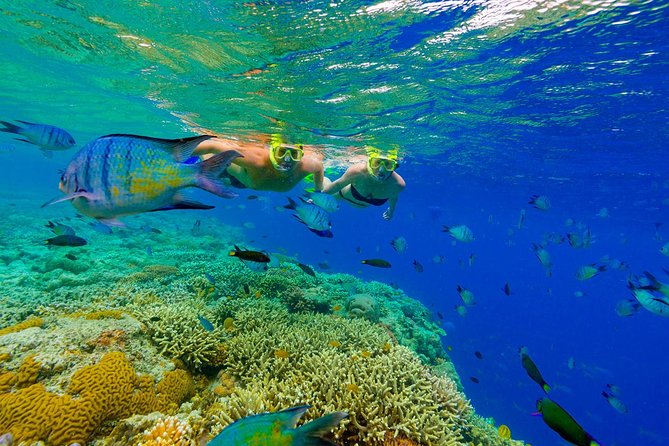 Punta Cana Snorkeling Cruise and Dune buggy Combo Adventure - The 1.5-hour gap: why timing changes the feel of your day