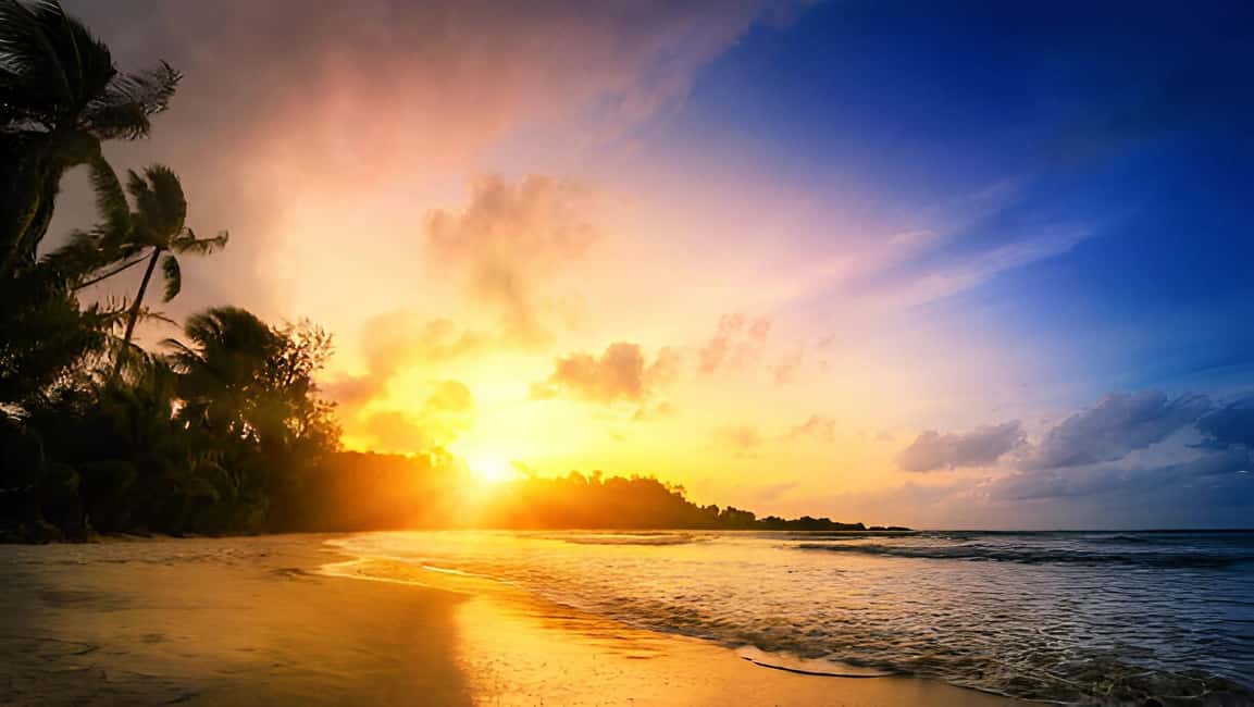 Punta Cana: Sunset Horseback Ride in Macao Beach and Forest - Safety and Rider Comfort: What to Expect
