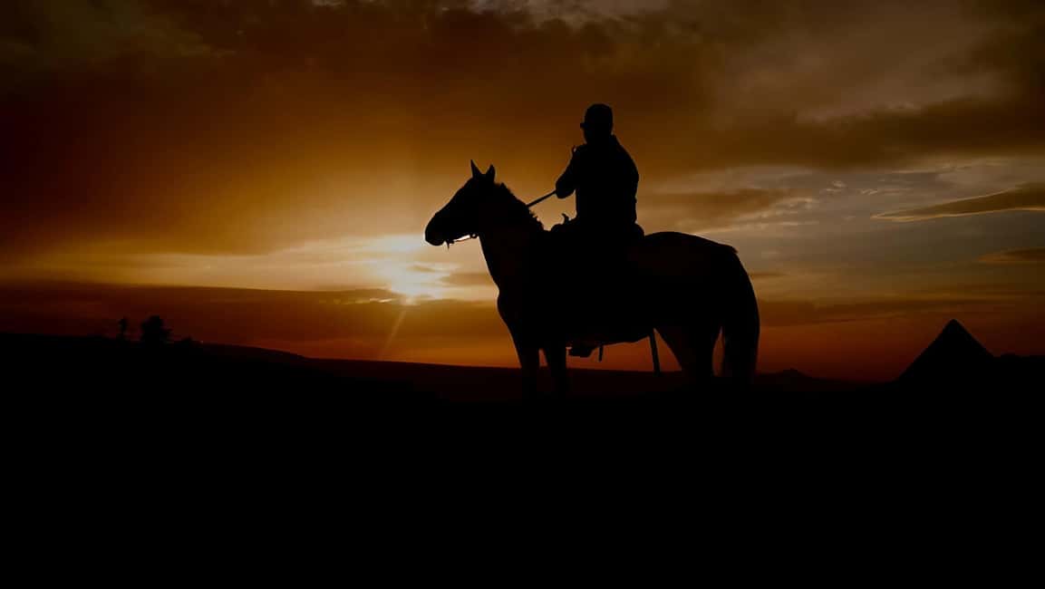 Punta Cana: Sunset Horseback Ride in Macao Beach and Forest - What’s Included vs Not: The Practical Cost Picture