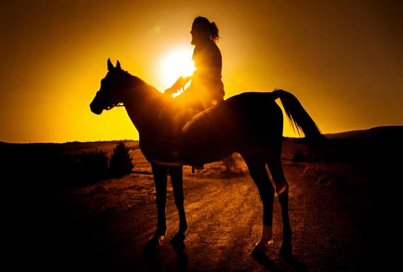 Punta Cana: Sunset Horseback Ride in Macao Beach and Forest - What to Bring: Clothes, Shoes, and Small Comforts