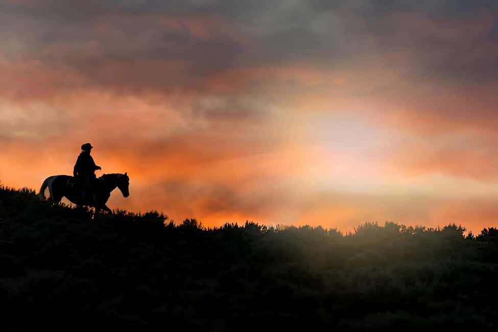Punta Cana: Sunset Horseback Ride in Macao Beach and Forest - The Forest Ride: What It Feels Like on Horseback
