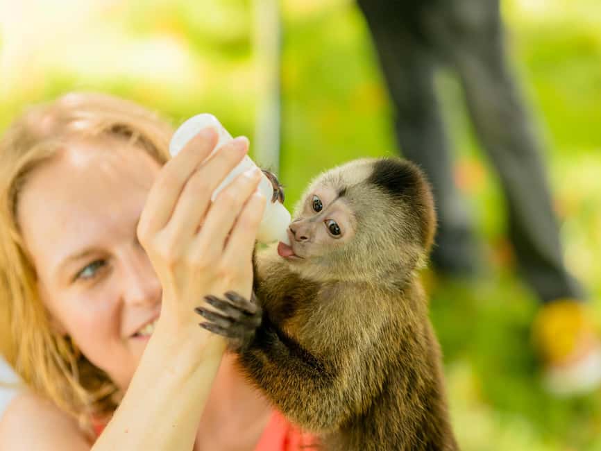 Punta Cana: Tour Monkey Adventure With Hotel Pick Up - Who This Tour Fits Best (and Who Should Skip It)