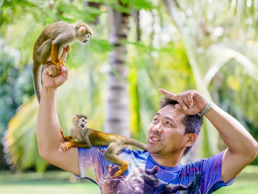 Punta Cana: Tour Monkey Adventure With Hotel Pick Up - Getting to Monkey Time Smoothly From Your Hotel