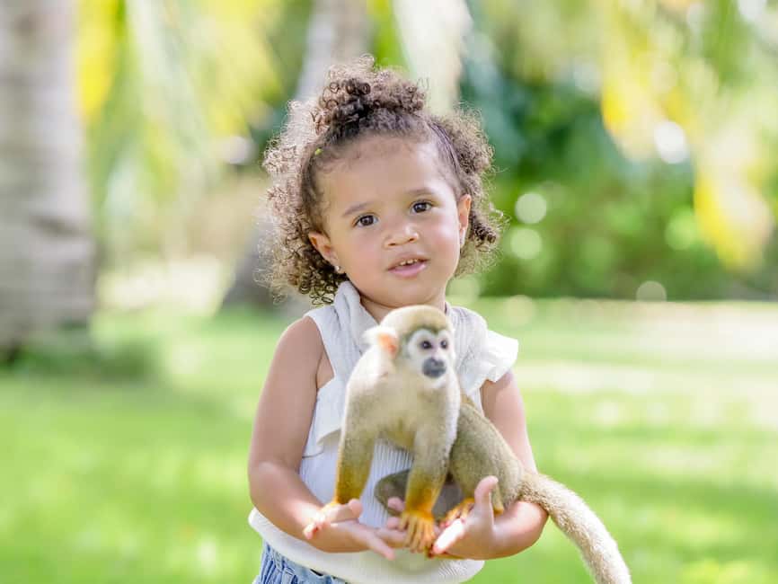 Punta Cana: Tour Monkey Adventure With Hotel Pick Up - Bottle-Feeding the Baby Monkey: The Tender Moment