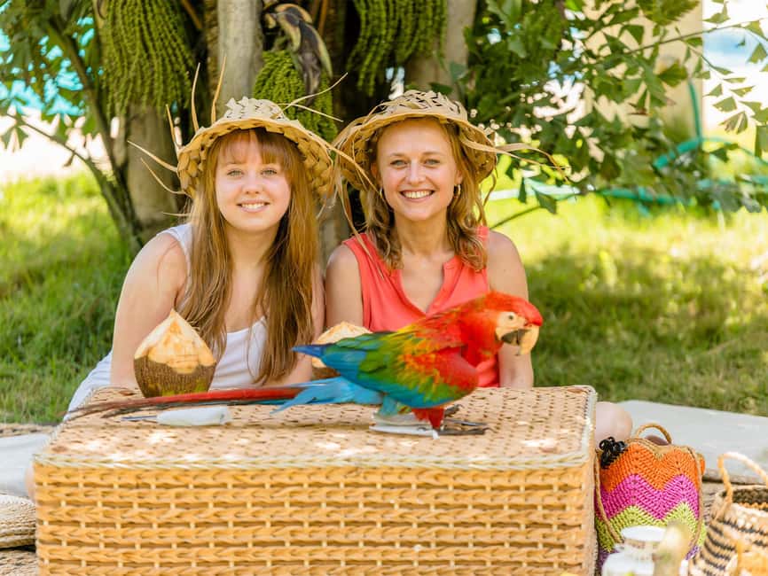 Punta Cana: Tour Monkey Adventure With Hotel Pick Up - The 30-Minute Store Stop: Souvenirs With Local Flavor