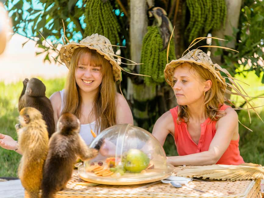 Punta Cana: Tour Monkey Adventure With Hotel Pick Up - Pack Like You’re Visiting Close-Contact Wildlife