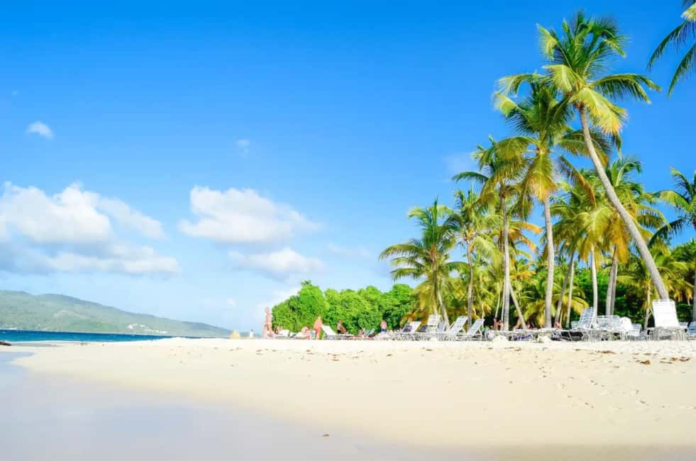 Punta Cana: Whale Watching, Cayo Levantado & Limon Waterfall - Key things to know before you go