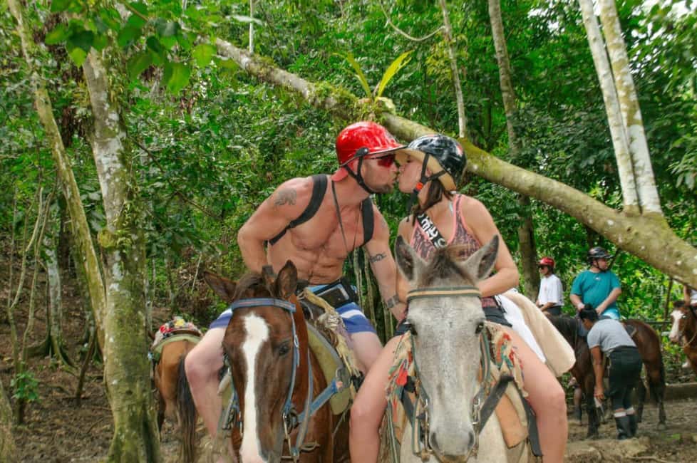 Punta Cana: Whale Watching, Cayo Levantado & Limon Waterfall - Logistics You Should Plan For (So You Enjoy the Day)