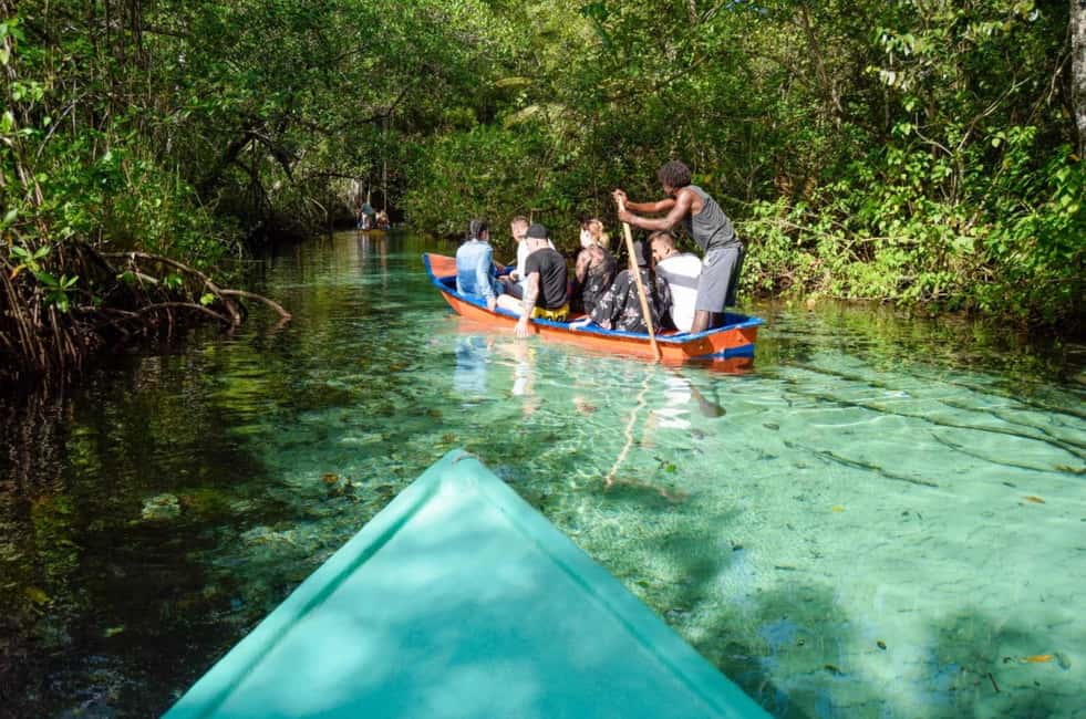 Punta Cana: Whale Watching, Cayo Levantado & Limon Waterfall - How This One-Day Samaná Trip From Punta Cana Really Feels