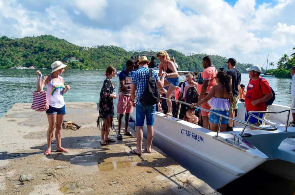 Punta Cana: Whale Watching, Cayo Levantado & Limon Waterfall - Whale Watching Odds: Know the Seasonal Reality