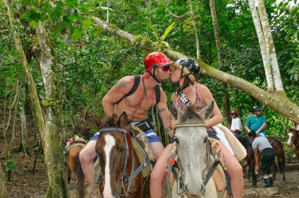 Punta Cana: Whale Watching, Cayo Levantado & Limon Waterfall - Price and Value: Is $160 Worth a Full Samaná Day?