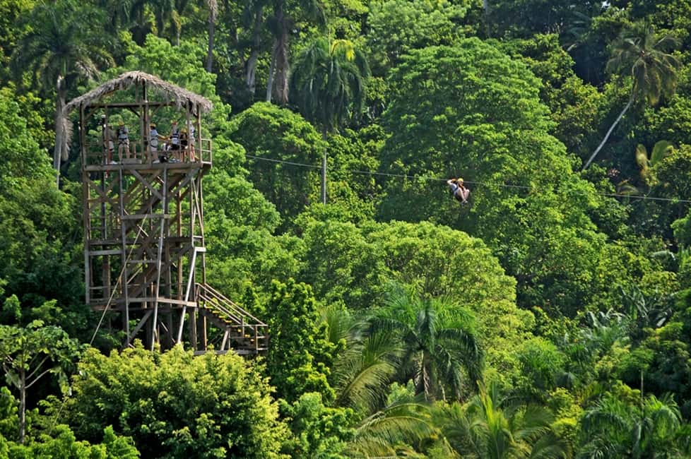 Punta Cana: Zip-Lining 12 Cables - Between Cables: The Real Workout Part Nobody Sells on the Brochure