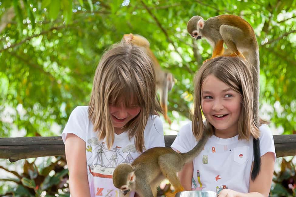 Punta Cana: Ziplines Adventures & Monkeyland Entry - Punta Cana zip lines and Monkeyland: what makes it worth your day