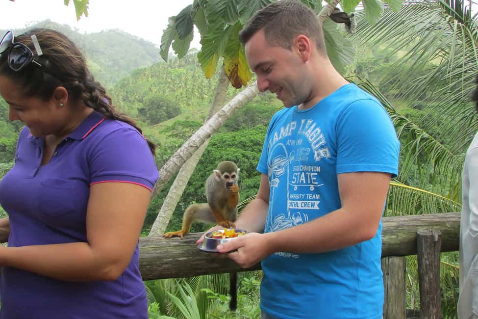 Punta Cana: Ziplines Adventures & Monkeyland Entry - Safety gear and the phone question: what to bring (and what to risk)