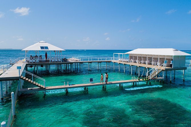 Reef Explorer Multiple activity Excursion from Punta Cana by Marinarium - Key Highlights You’ll Care About