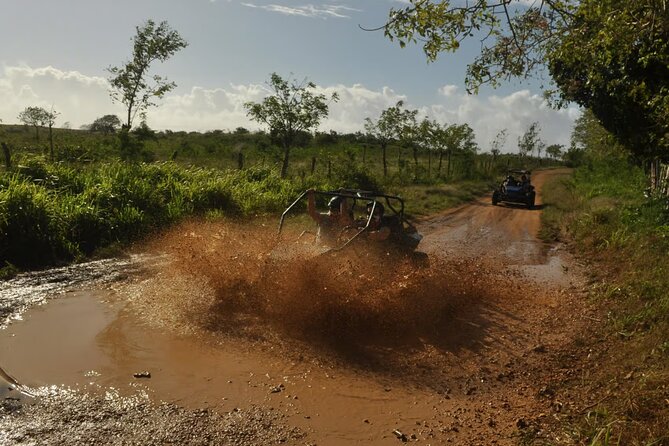 Rivers, Jungle with Buggies Adventure in Bayahibe - Chavón River: film-famous views plus actual river time