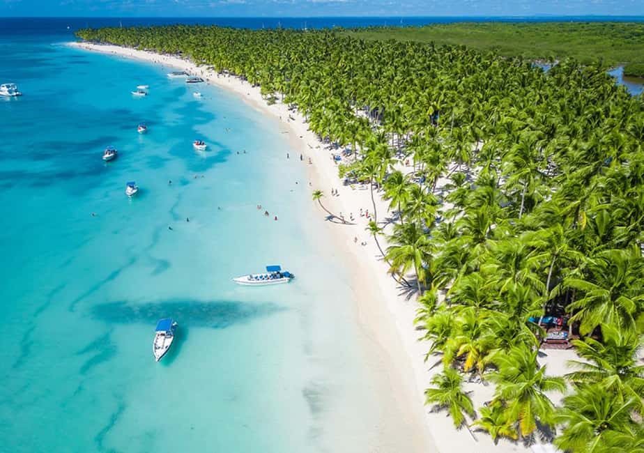 Saona Island: Beach & Natural Pool Small-Group Tour w/ Lunch - What You’ll Like Most (and One Thing to Think About)