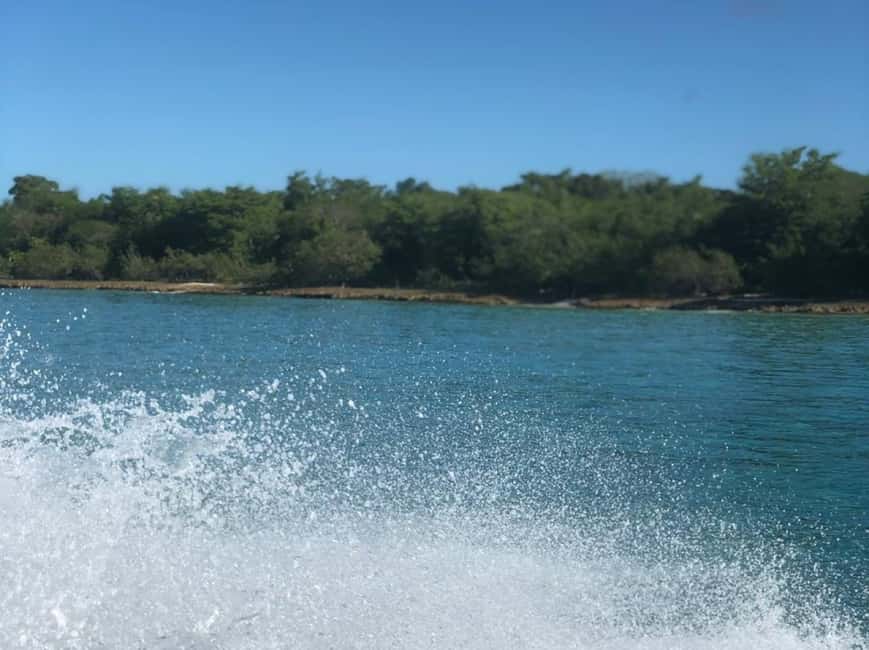 Saona Island: Beach & Natural Pool Small-Group Tour w/ Lunch - Natural Pool Starfish Time: The Best Swim on the Route