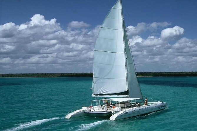 Saona Island Catamaran Adventure with Free Food and Transportation - Key Things That Make This Tour Work (or Not)