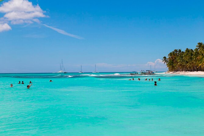 Saona Island Catamaran Adventure with Free Food and Transportation - Price and Value: Is $70 Worth It in Punta Cana?