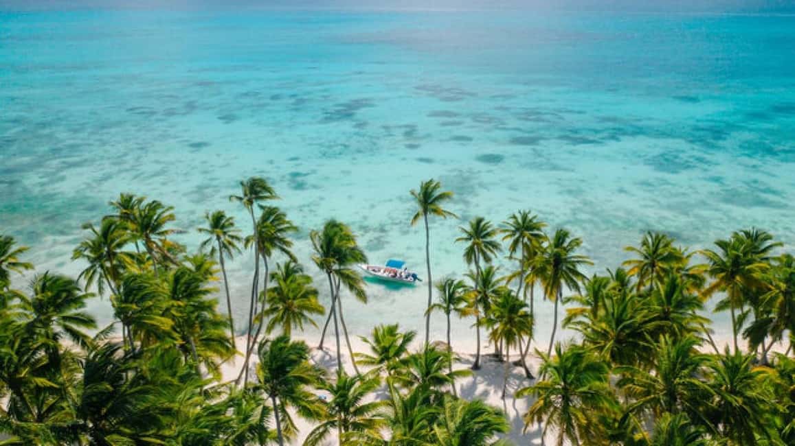 Saona Island: Catamaran/Speedboat Tour to a Dream Beach - Key Highlights Worth Planning For
