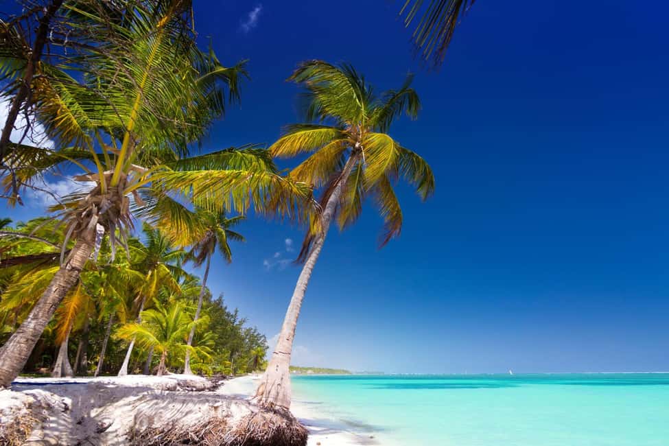 Saona Island: Catamaran/Speedboat Tour to a Dream Beach - Price and Value: Is $89 a Fair Deal?