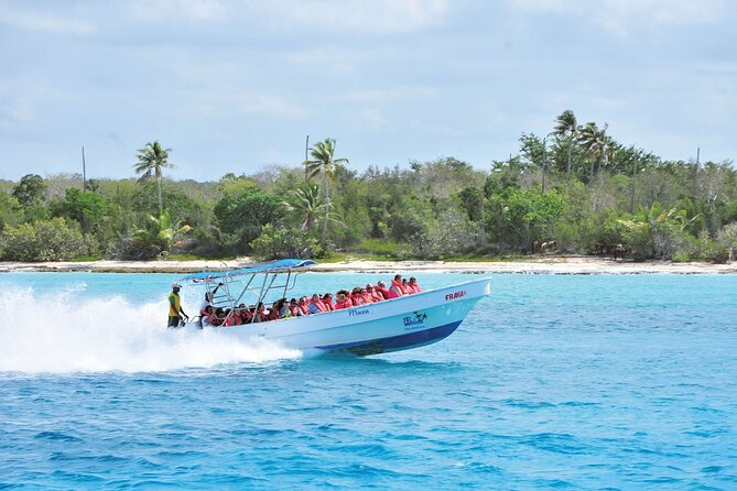 Saona Island Day Trip From Punta Cana with Lunch and Open Bar - The Natural Swimming Pool and Starfish Stop: Short, Clear, and Fun