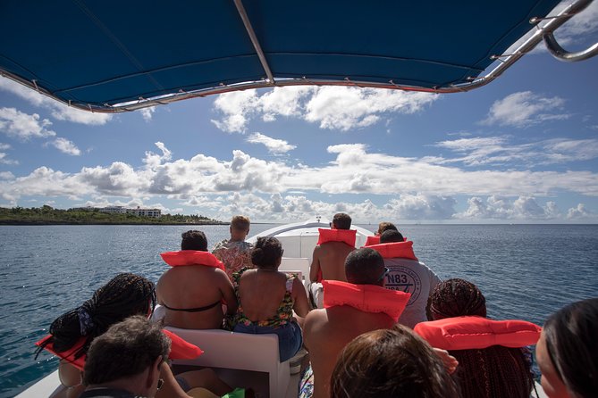Saona Island Day Trip From Punta Cana with Lunch and Open Bar - The Return Ride Home: Catamaran Energy and Party Vibes