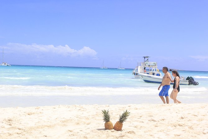 Saona Island Excursion From Punta Cana - Saona Island from Punta Cana: what makes this day trip click