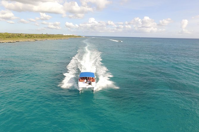 Saona Island Excursion From Punta Cana - Saona Island beach time: swimming, lunch, and the reality of sellers