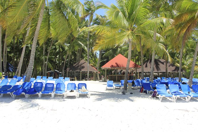 Saona Island Excursion From Punta Cana - Lunch and open bar: included perks and how to handle them