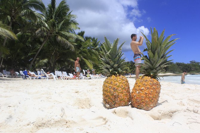 Saona Island Excursion From Punta Cana - Boats, crowds, and comfort: what group size really feels like