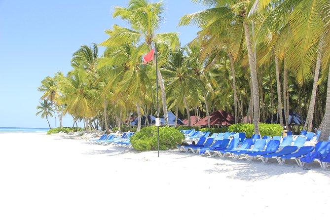 Saona Island Excursion From Punta Cana - Price and value: is $82 a fair deal?