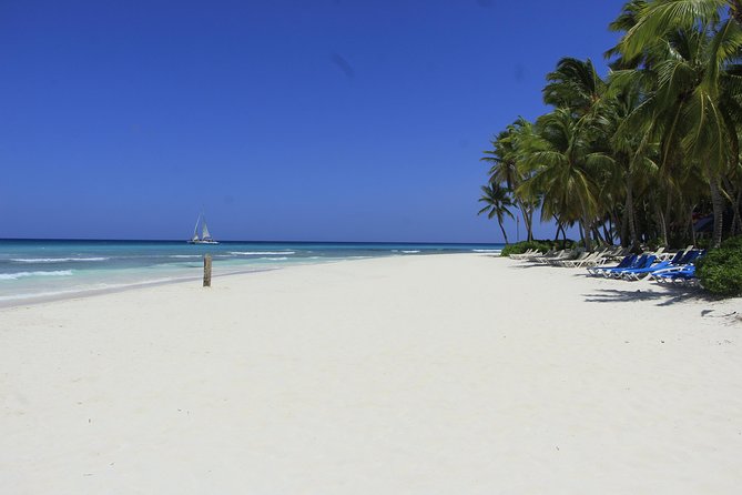 Saona Island Excursion From Punta Cana - Who this Saona trip suits best