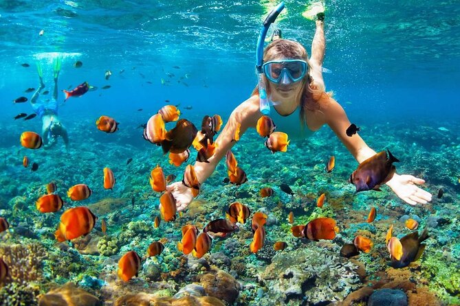 Saona Island Full Day Excursion from Punta Cana - Who This Tour Suits Best (and Who Might Prefer Something Else)
