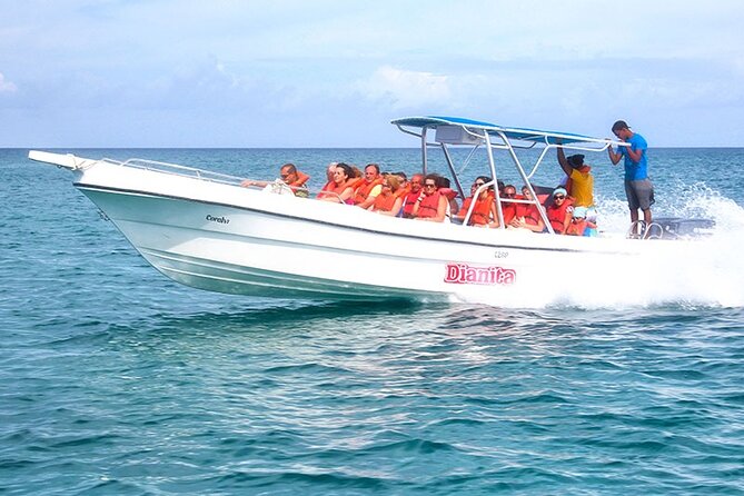 Saona Island Full Day Excursion from Punta Cana + Catamaran Party - Language, crowd size, and safety: what matters most for a stress-free day