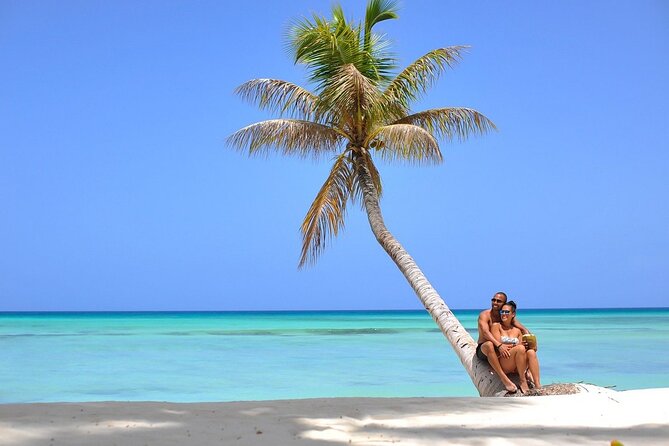 Saona Island Full Day Excursion from Punta Cana + Catamaran Party - Who this tour is best for (and who should skip it)