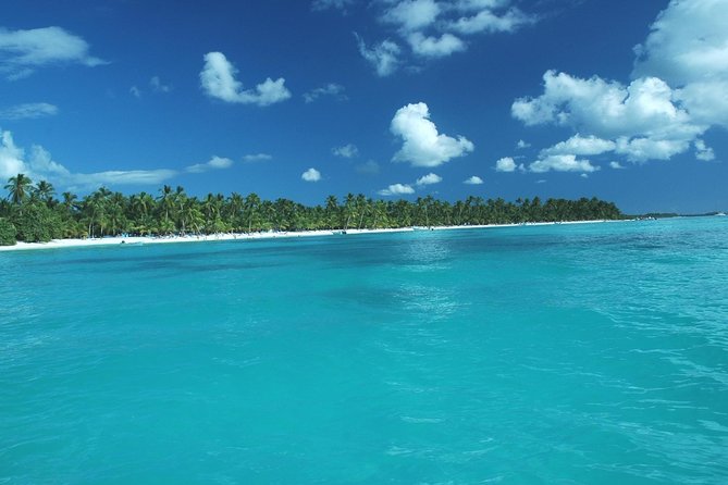 Saona Island Full-Day Tour with Lunch from Punta Cana - Getting to the port: hotel pickup that sets the pace