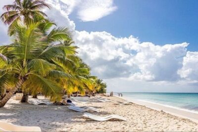 Saona Island Full-Day Tour with Lunch from Punta Cana - Catamaran cruise: comfortable sea time, with a bar option