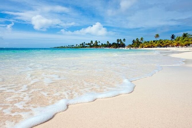 Saona Island Full-Day Tour with Lunch from Punta Cana - Price and logistics: is $93 a fair deal?