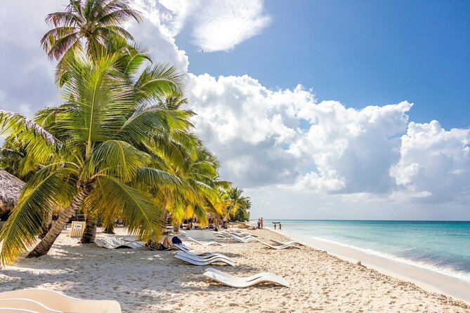 Saona Island Full-Day Tour with Lunch from Punta Cana - What to pack and how to time your energy on Saona