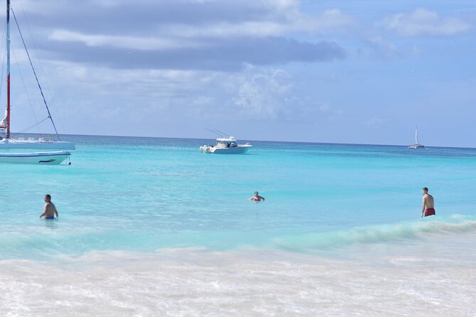 Saona Island Tour in Punta Cana - What the Natural Pool Swim Feels Like Under Real Conditions