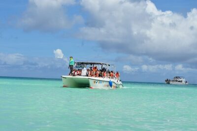 Saona Island Tour in Punta Cana - Saona Island Beach Time and the Dominican Buffet