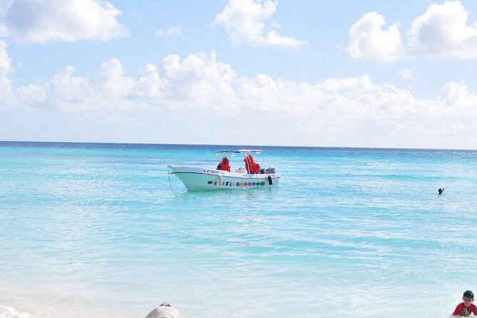Saona Island Tour in Punta Cana - Timing, Pickup, and the 8:30 AM Start From Bávaro