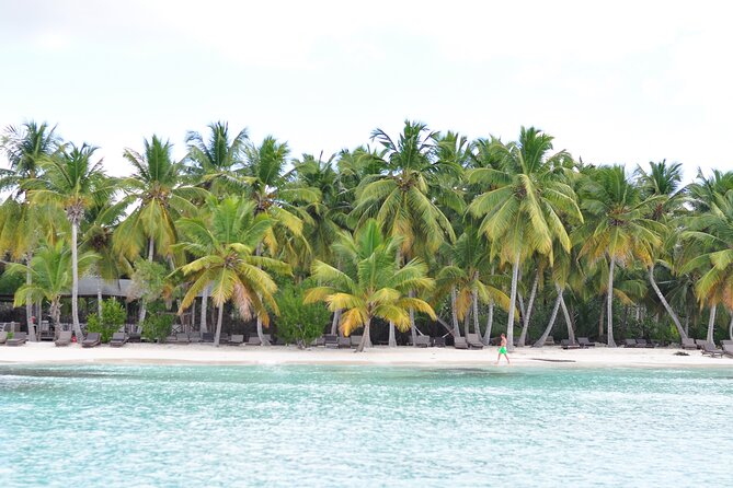 Saona Island Tour in Punta Cana - Staff Energy, Guide Quality, and Why People Rate This So High