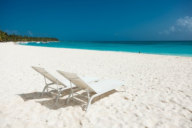 Saona Private Full-Day Tour from Punta Cana - Key points at a glance