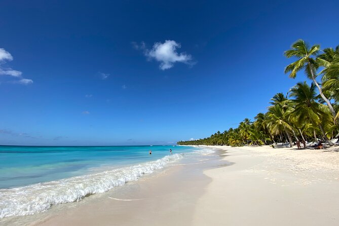 Saona Private Full-Day Tour from Punta Cana - Saona Island beach time: early access, boat-free feeling, and real relaxation